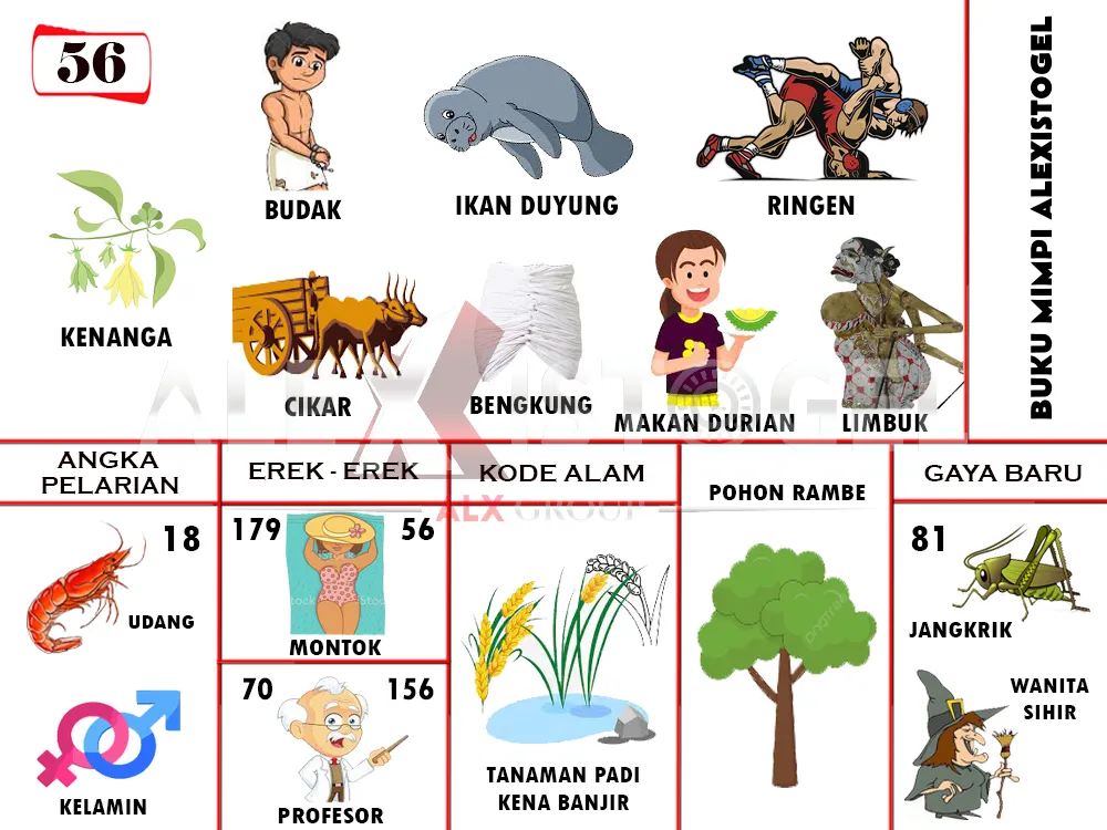 buku mimpi erek erek togel 56